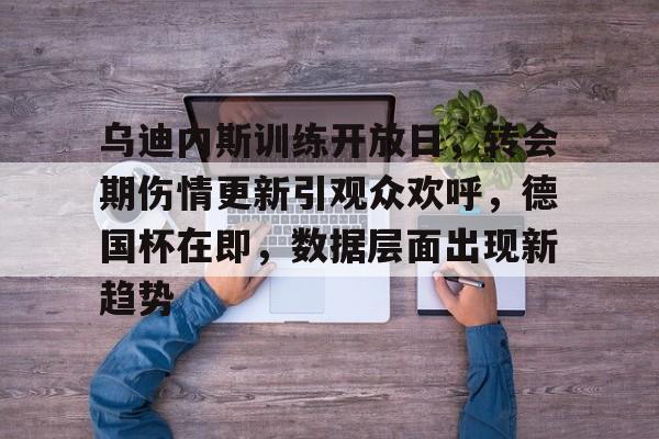 爱游戏手机版-乌迪内斯训练开放日,转会期伤情更新引观众欢呼,德国杯在即,数据层面出现新趋势的简单介绍